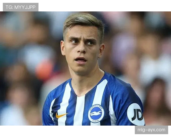 布莱顿关键球员近期表现稳健，持续提升球队竞争力